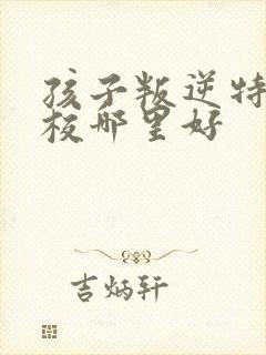 孩子叛逆特训学校哪里好