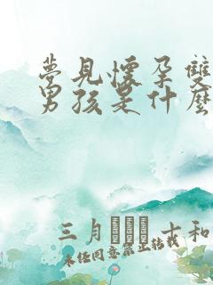 梦见怀孕双胞胎男孩是什么预兆