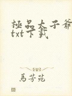 极品太子爷小说txt下载