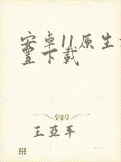 安卓11原生设置下载