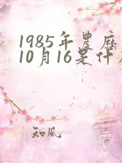 1985年农历10月16是什么星座