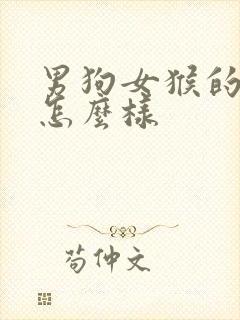 男狗女猴的婚姻怎么样