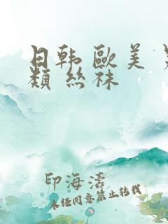 日韩 欧美 另类 丝袜