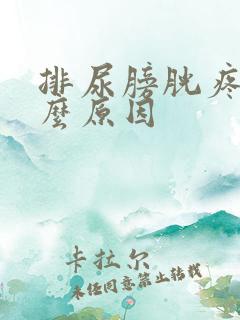 排尿膀胱疼是什么原因