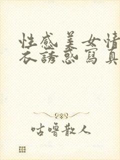 性感美女情趣内衣诱惑写真集合