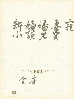 新婚娇妻宠上瘾小说免费