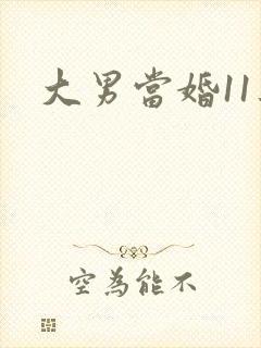 大男当婚11集