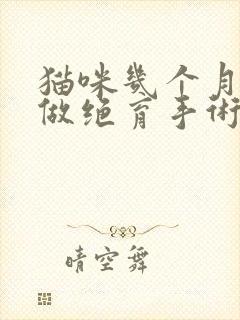 猫咪几个月可以做绝育手术