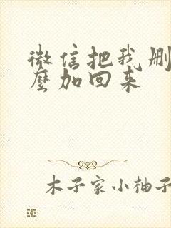 微信把我删了怎么加回来