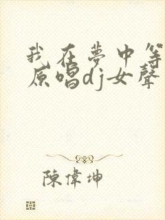 我在梦中等着你原唱dj女声版