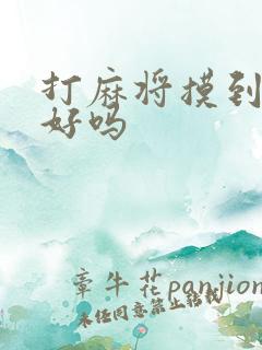 打麻将摸到天胡好吗