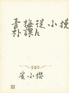 青梅从小摸到大补课h