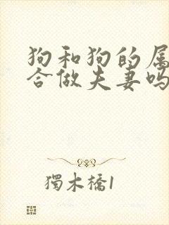 狗和狗的属相适合做夫妻吗