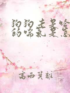 狗狗老是哈哈哈的喘气是怎么回事