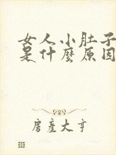 女人小肚子疼痛是什么原因引起的