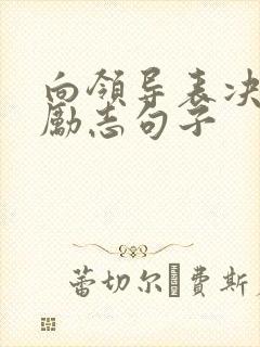 向领导表决心的励志句子