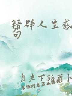 精辟人生感悟短句