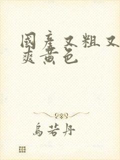 国产又粗又猛又爽黄色