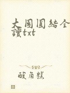 大团圆结全文阅读txt