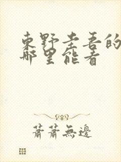 东野圭吾的秘密哪里能看