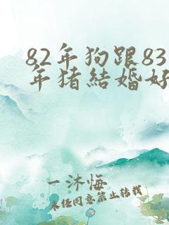 82年狗跟83年猪结婚好不好