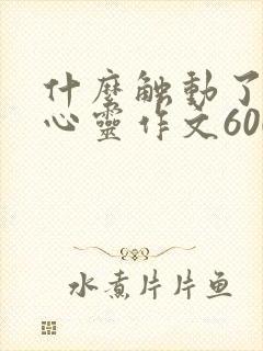 什么触动了我的心灵作文600以上