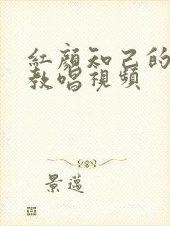 红颜知己的歌谱教唱视频