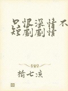 只恨深情不识鸢短剧剧情