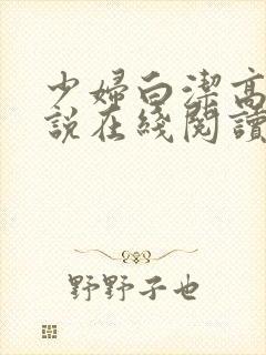 少妇白洁高义小说在线阅读