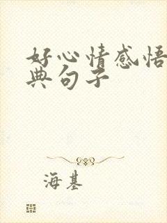 好心情感悟的经典句子