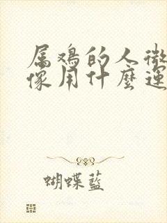 属鸡的人微信头像用什么运气最好