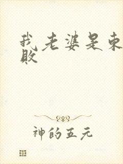 我老婆是东方不败