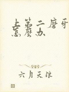 上第二磨牙掉了怎么办