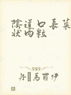 阴道口长菜花疣状肉粒