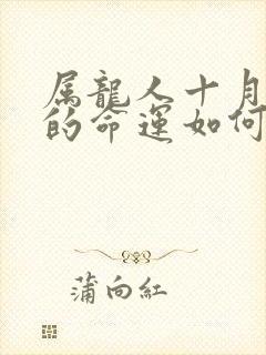 属龙人十月出生的命运如何