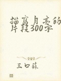 描写月亮的优美片段300字