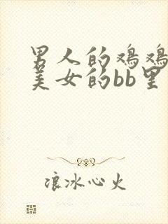 男人的鸡鸡操进美女的bb里