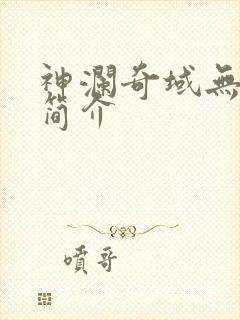 神澜奇域无双珠简介