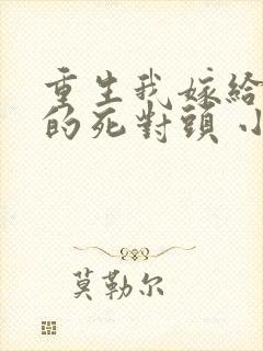 重生我嫁给渣男的死对头 小说