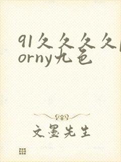 91久久久久porny九色