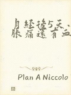 月经后5天小腹胀痛还有血