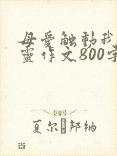 母爱触动我的心灵作文800字