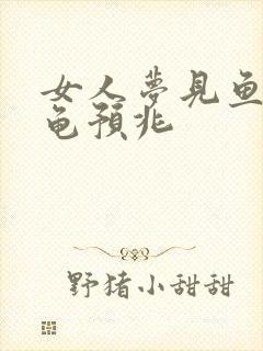 女人梦见鱼和乌龟预兆