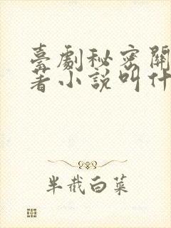 台剧秘密关系原著小说叫什么