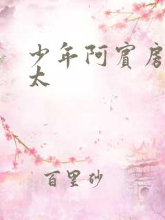 少年阿宾房东太太