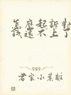 怎么起诉对方欠钱还不上了