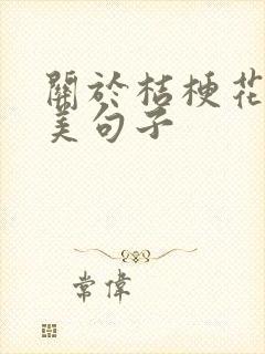 关于桔梗花的唯美句子