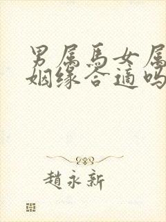 男属马女属大龙姻缘合适吗