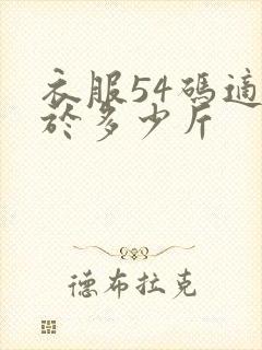 衣服54码适合于多少斤