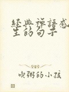 经典禅语感悟人生的句子